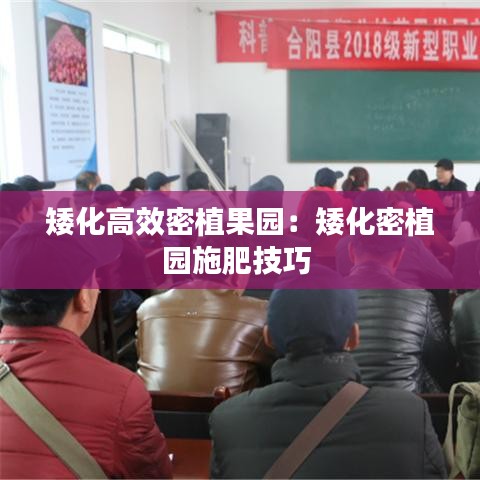 纲举目张 第3页
