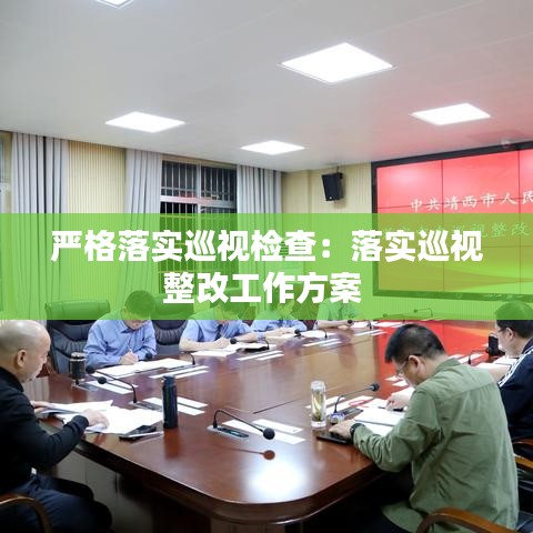 严格落实巡视检查：落实巡视整改工作方案 