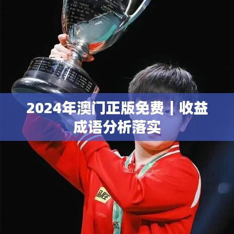2024年澳门正版免费｜收益成语分析落实