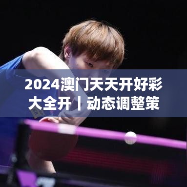 2024澳门天天开好彩大全开｜动态调整策略执行