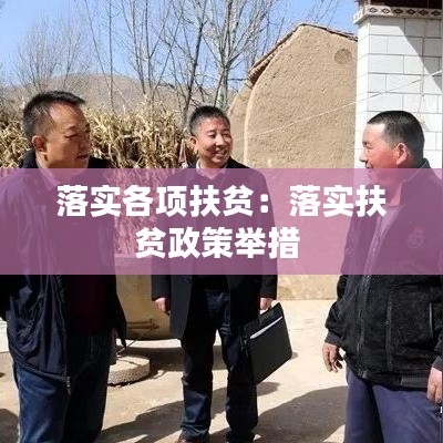 落实各项扶贫：落实扶贫政策举措 