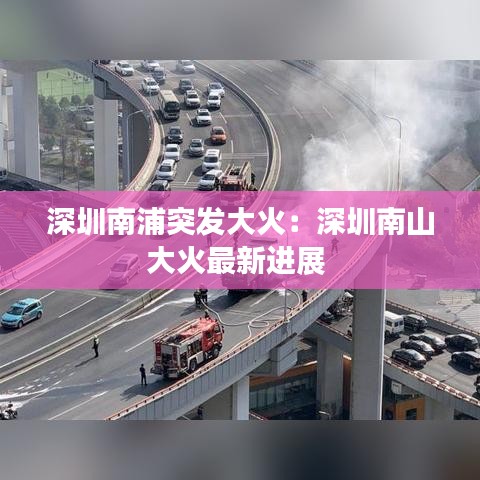 深圳南浦突发大火：深圳南山大火最新进展 