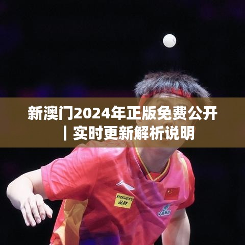 新澳门2024年正版免费公开｜实时更新解析说明