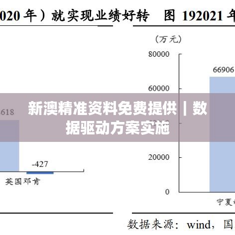 新澳精准资料免费提供｜数据驱动方案实施