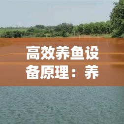 高效养鱼设备原理：养鱼装置简单制作 