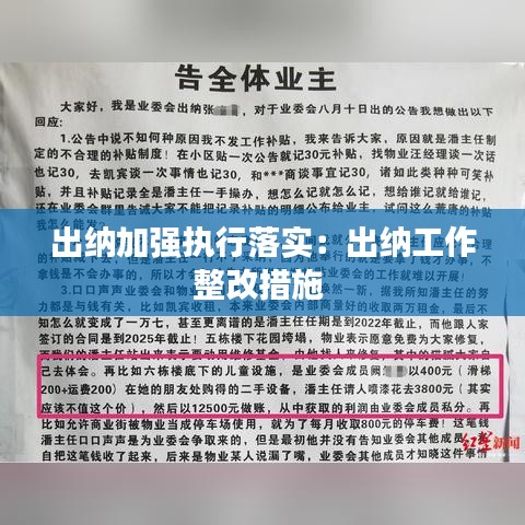 出纳加强执行落实：出纳工作整改措施 