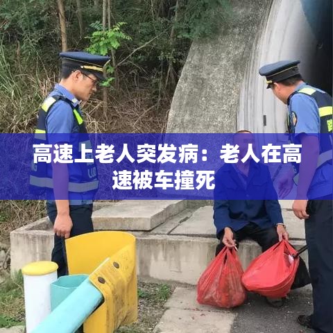 高速上老人突发病：老人在高速被车撞死 
