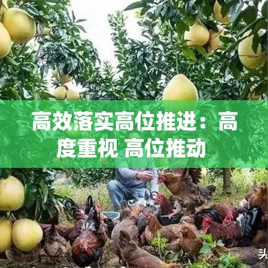 高效落实高位推进：高度重视 高位推动 