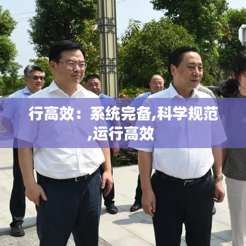 行高效：系统完备,科学规范,运行高效 