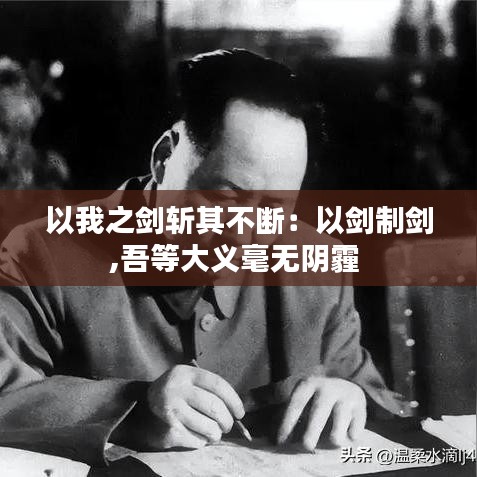 以我之剑斩其不断：以剑制剑,吾等大义毫无阴霾 