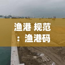 渔港 规范：渔港码头管理规定 