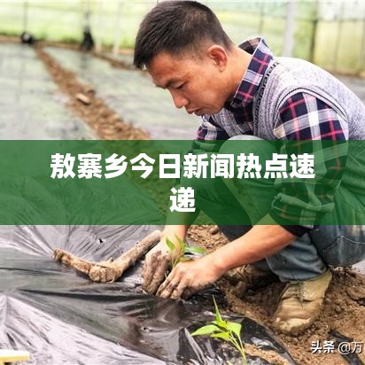 敖寨乡今日新闻热点速递