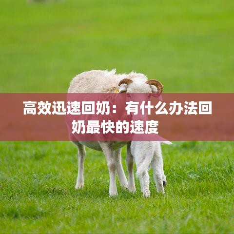 长颈鸟喙 第2页