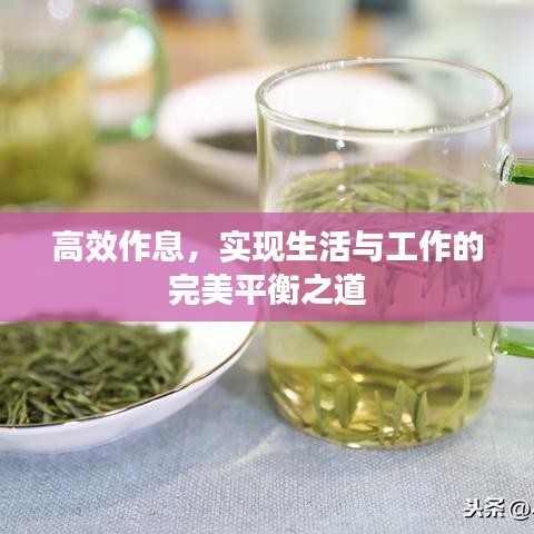 莺声燕语 第2页
