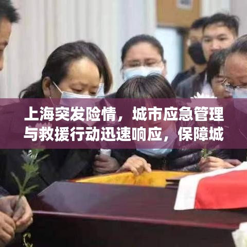 上海突发险情，城市应急管理与救援行动迅速响应，保障城市安全