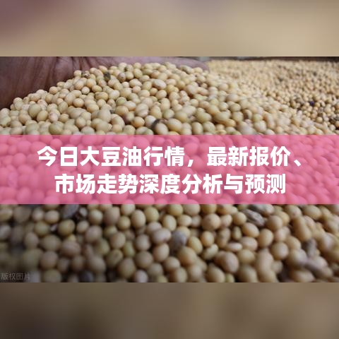 今日大豆油行情，最新报价、市场走势深度分析与预测