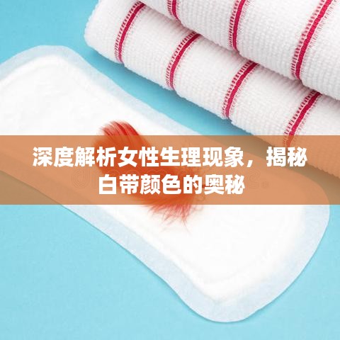 雍容雅步 第2页