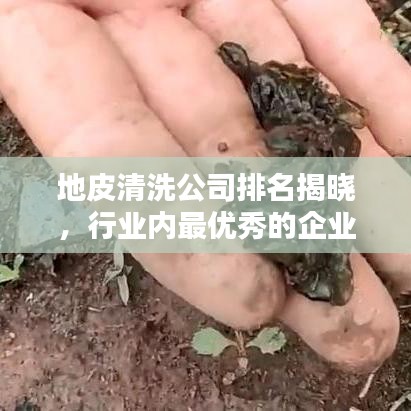 地皮清洗公司排名揭晓，行业内最优秀的企业榜单！
