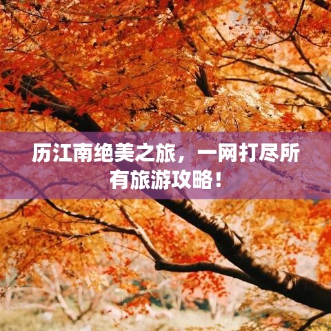 历江南绝美之旅，一网打尽所有旅游攻略！