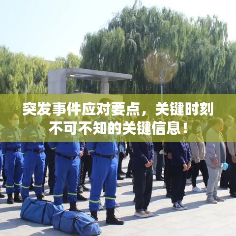 突发事件应对要点，关键时刻不可不知的关键信息！