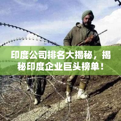 印度公司排名大揭秘，揭秘印度企业巨头榜单！