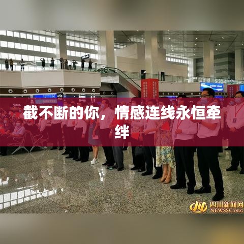 截不断的你，情感连线永恒牵绊