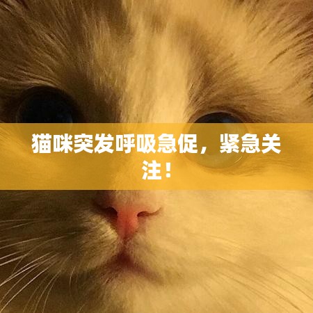 骨瘦如柴 第2页