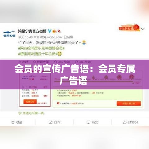 会员的宣传广告语：会员专属广告语 