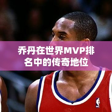洵属可贵 第2页