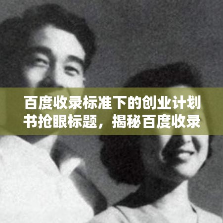 百度收录标准下的创业计划书抢眼标题，揭秘百度收录秘籍，开启创业计划书精彩篇章！