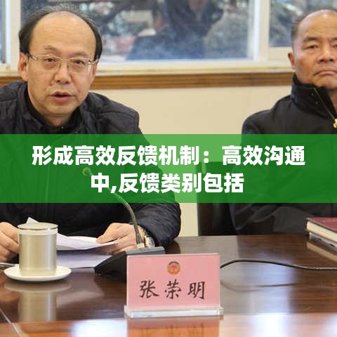 形成高效反馈机制：高效沟通中,反馈类别包括 