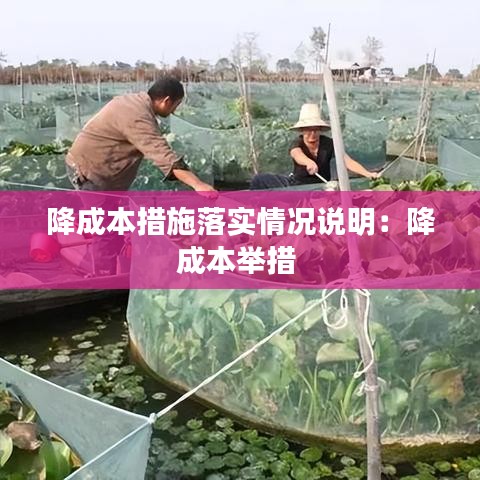 降成本措施落实情况说明：降成本举措 