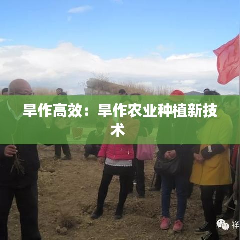旱作高效：旱作农业种植新技术 