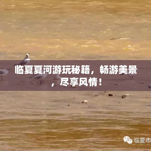 临夏夏河游玩秘籍，畅游美景，尽享风情！
