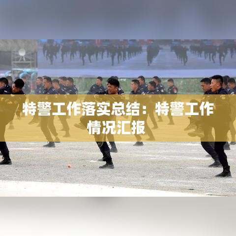 特警工作落实总结：特警工作情况汇报 