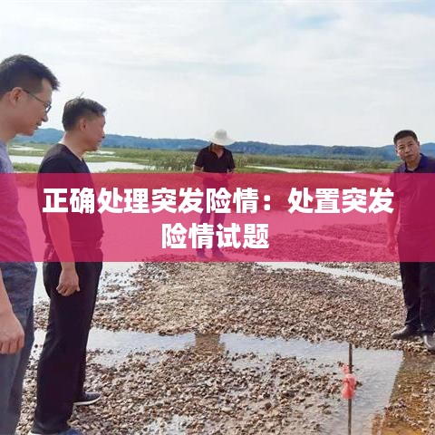正确处理突发险情：处置突发险情试题 