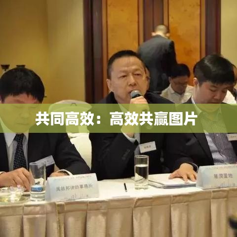 共同高效：高效共赢图片 