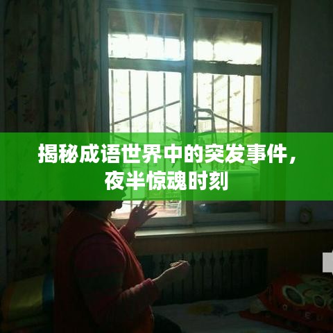 林下风范 第2页