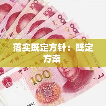 落实既定方针：既定方案 
