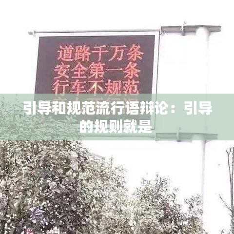 引导和规范流行语辩论：引导的规则就是 