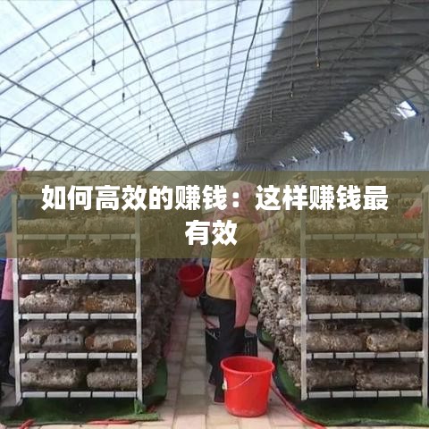 如何高效的赚钱：这样赚钱最有效 