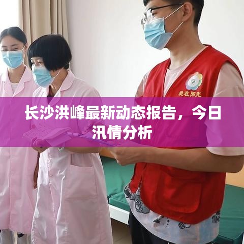 长沙洪峰最新动态报告，今日汛情分析