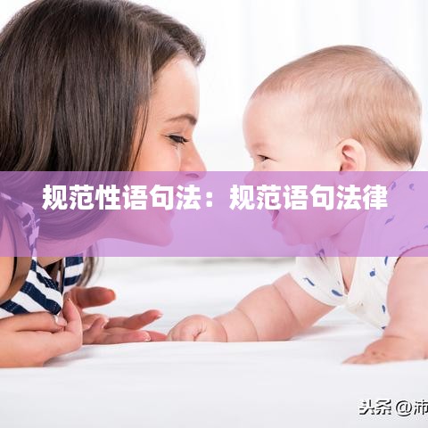 规范性语句法：规范语句法律 