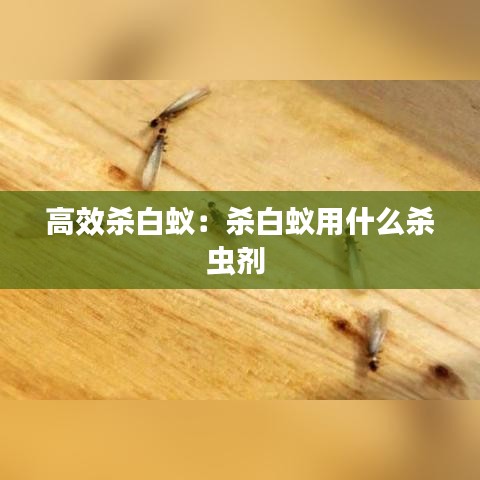 高效杀白蚁：杀白蚁用什么杀虫剂 