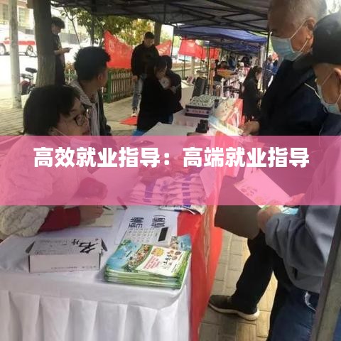 高效就业指导：高端就业指导 