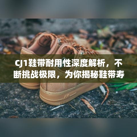 CJ1鞋带耐用性深度解析，不断挑战极限，为你揭秘鞋带寿命之谜！