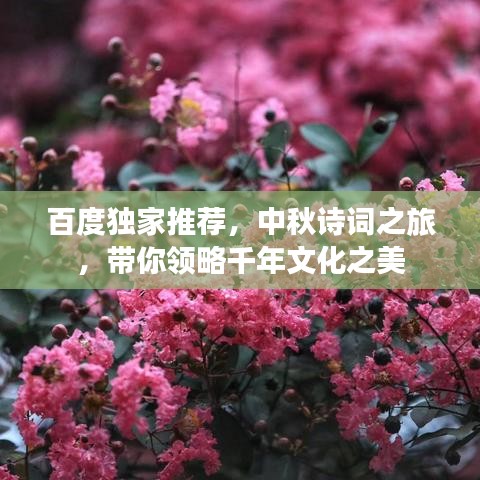 百度独家推荐，中秋诗词之旅，带你领略千年文化之美