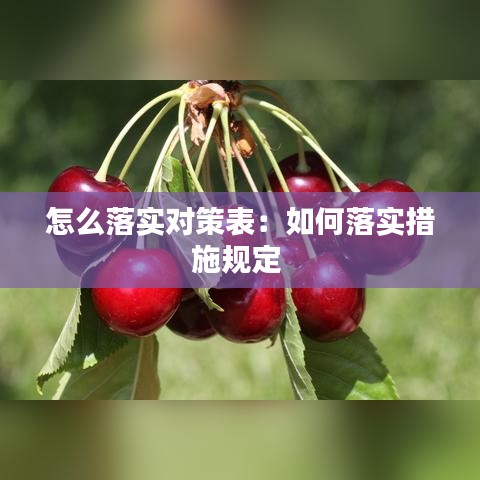 怎么落实对策表：如何落实措施规定 