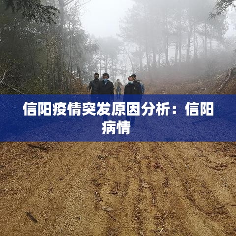 信阳疫情突发原因分析：信阳病情 
