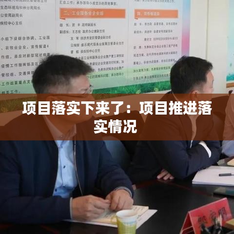 项目落实下来了：项目推进落实情况 